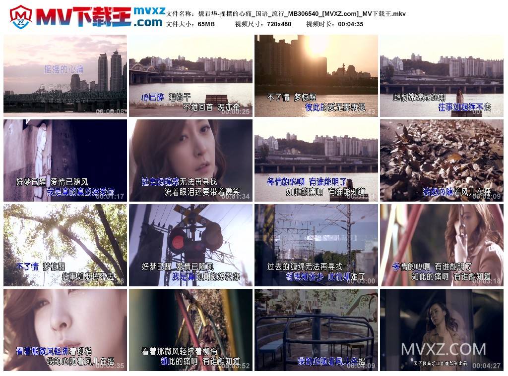 魏君华-摇摆的心痛_国语_流行_MB306540